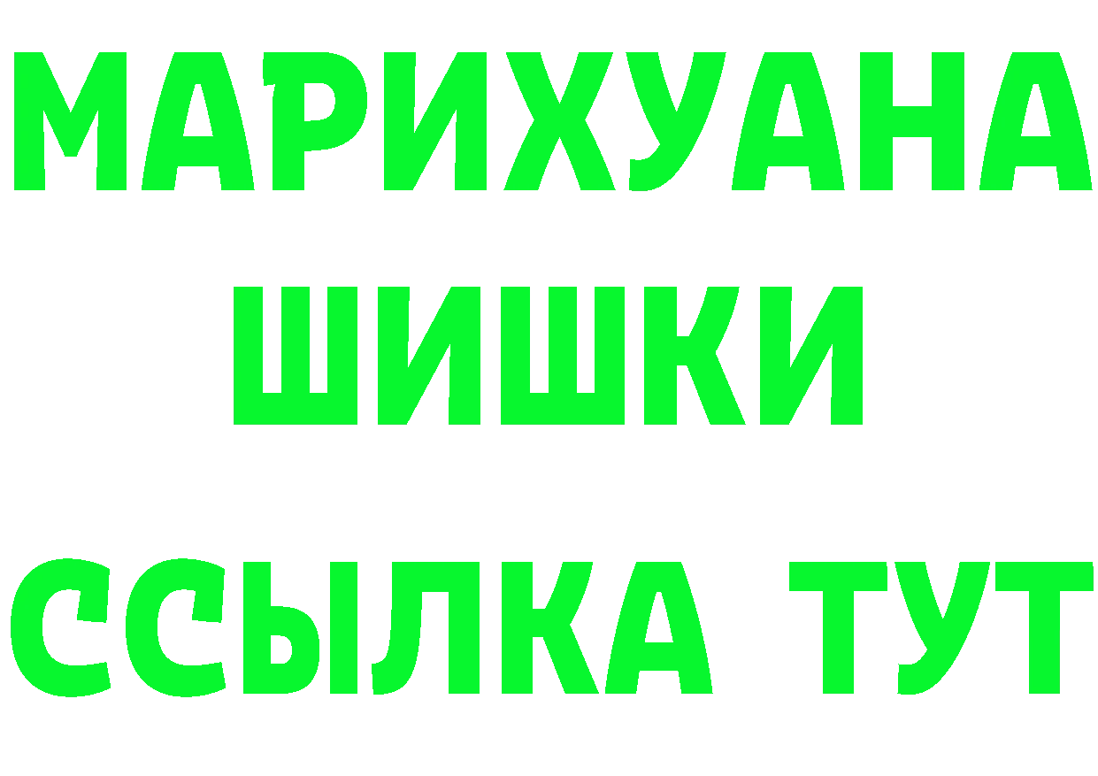 ГАШ Ice-O-Lator tor площадка блэк спрут Электросталь